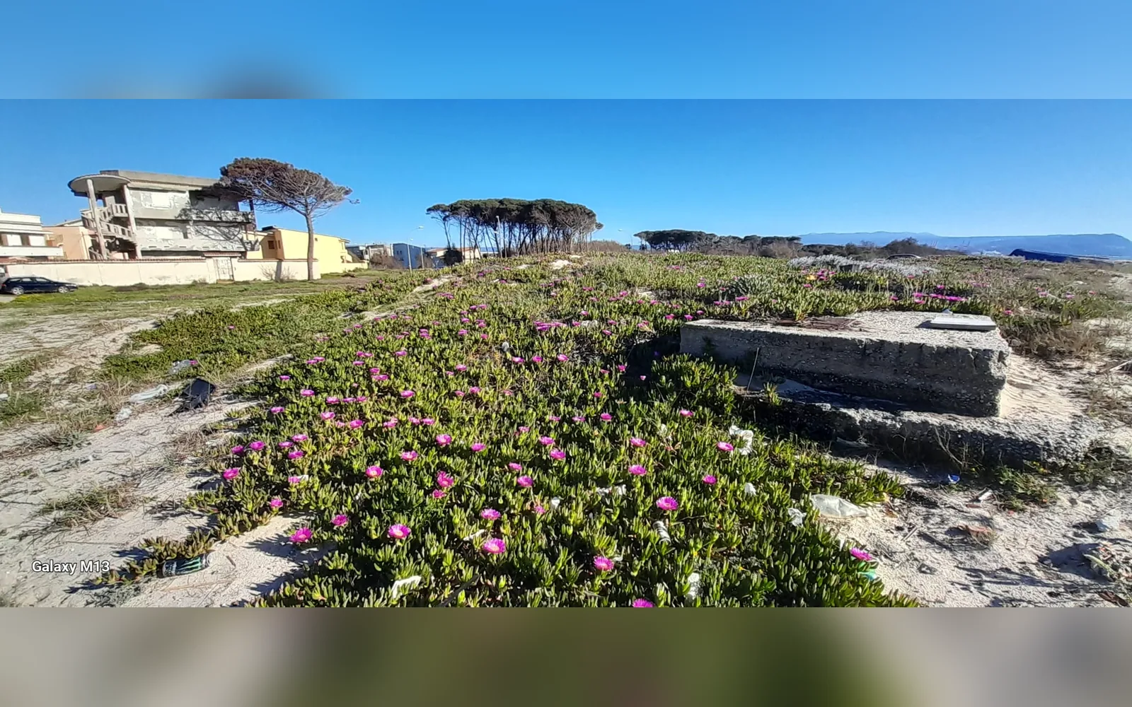 Giardino di Residence ERANOVA-TORRE, San Ferdinando (Calabria) (foto 6)
